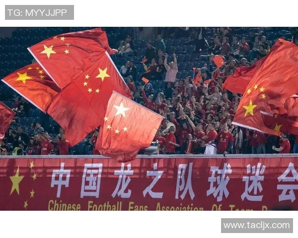 热爱与追逐：韩国足球明星在中国球迷心中的崇高地位与影响力