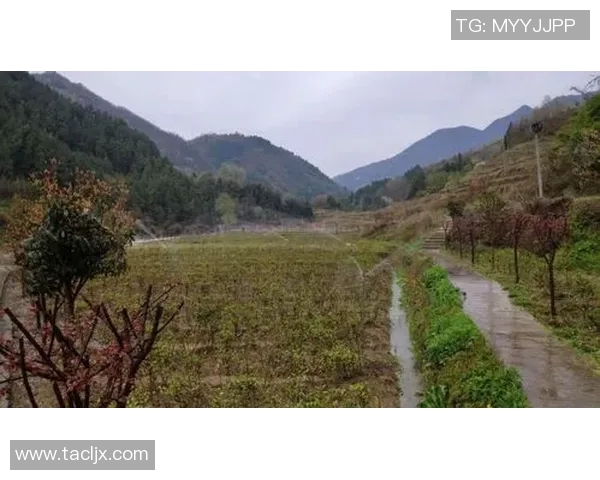 粮仓与足球明星的奇妙联系揭示了运动与农业的深厚渊源